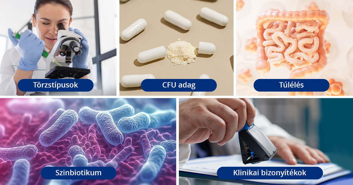 Hogyan válaszd a legjobb probiotikumot a vastagbél számára | DR D Article Probiotic 02 HU 1